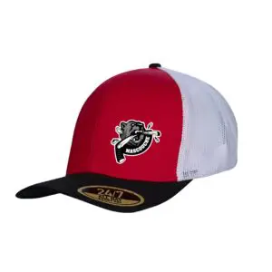 Casquette à filet Grizzlys